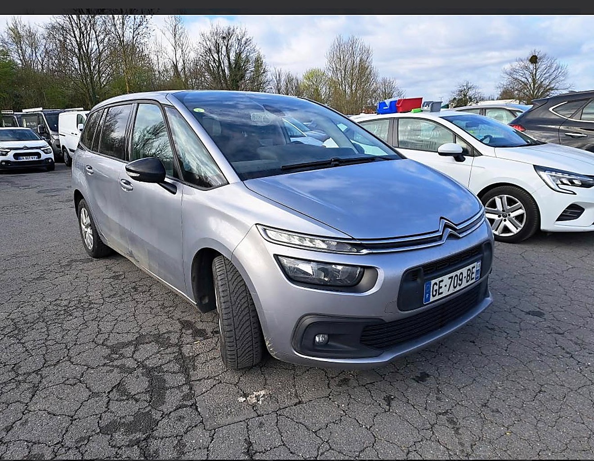 Citroën C4 Executive View 2